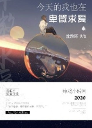 今天的我也在卑微求爱小说