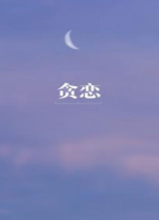 贪恋小说