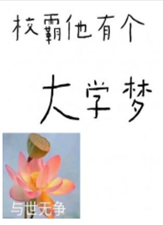 校霸他有个大学梦小说