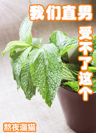 我们直男受不了这个小说