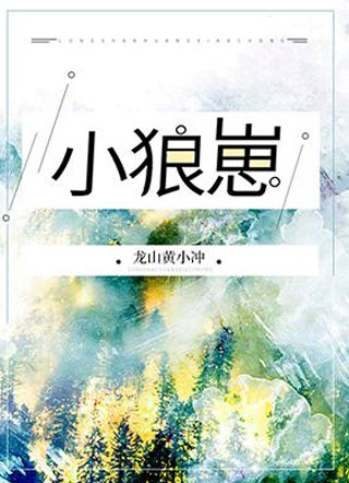 小狼崽小说
