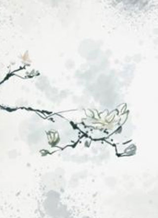 阮郎归小说