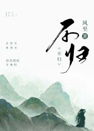 不归小说