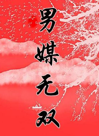 男媒无双小说