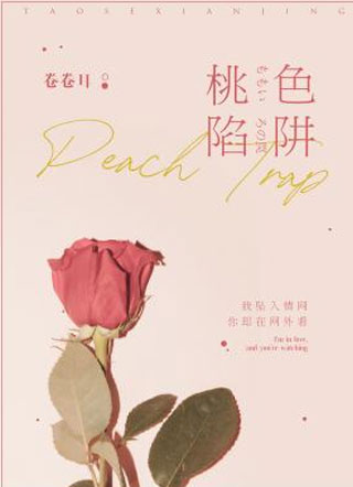 桃色陷阱小说