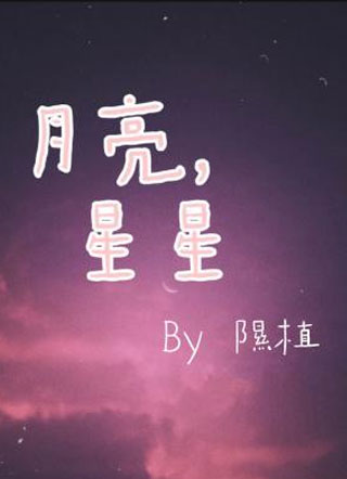月亮星星小说