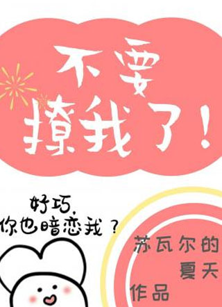 不要撩我了！小说