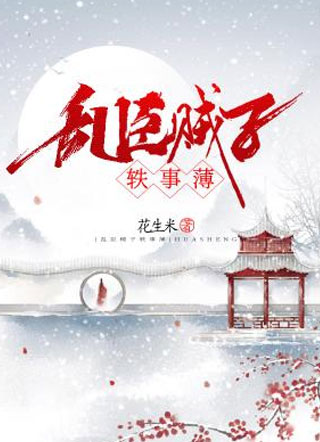 乱臣贼子轶事簿小说