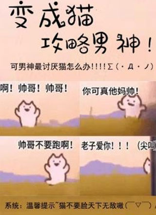 变成猫攻略男神小说