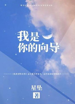我是你的向导【哨向】小说