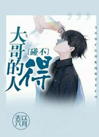 大哥的人碰不得小说