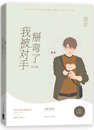 我被对手掰弯了小说