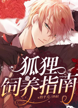 狐狸饲养指南小说