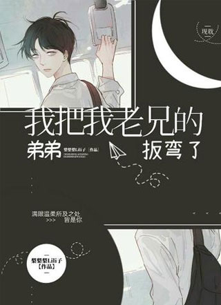 我把我老兄的弟弟扳弯了小说