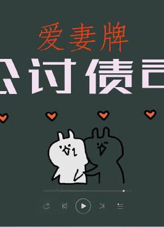 爱妻牌讨债公司小说