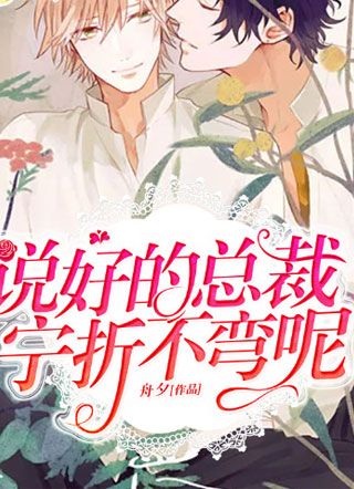 说好的总裁宁折不弯呢小说