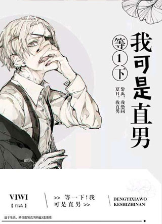 等一下！我可是直男小说