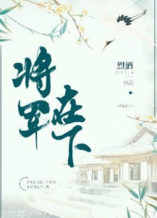 将军在下小说