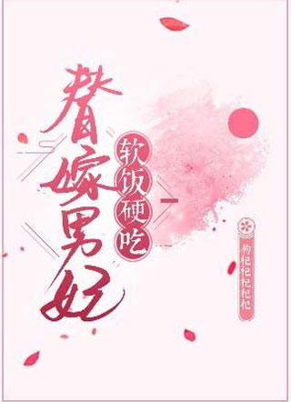 替嫁男妃软饭硬吃小说