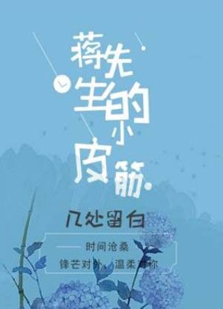 蒋先生的小皮筋小说