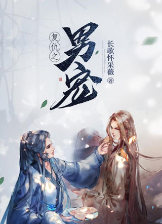 复仇之男宠小说