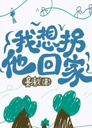 我想拐他回家小说