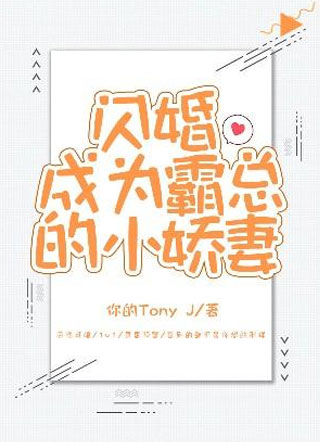 闪婚成为霸总的小娇妻小说