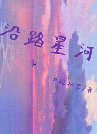 沿路星河小说
