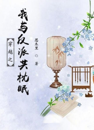 穿越之我与反派共枕眠小说