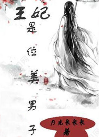 王妃是位美男子小说