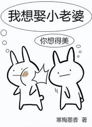 我想娶小老婆小说
