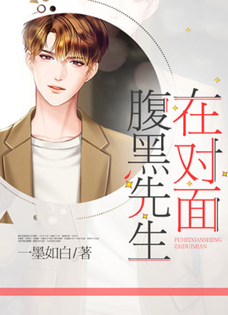 腹黑先生在对面小说