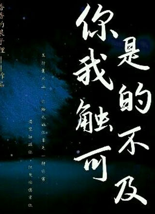 你是我的触不可及小说