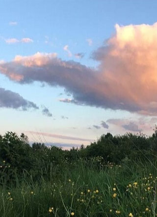 快跑！孩子他爸追来了小说