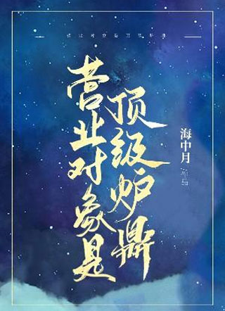 营业对象是顶级炉鼎小说