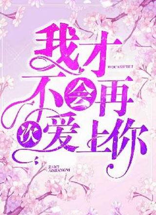 我才不会再次爱上你小说