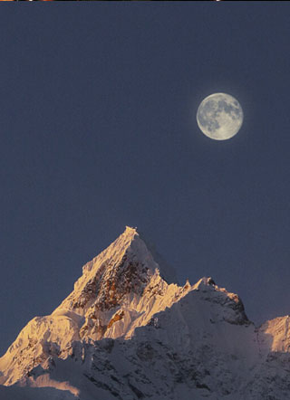 他总想闻我的信息素小说