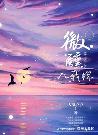 微醺入我怀小说