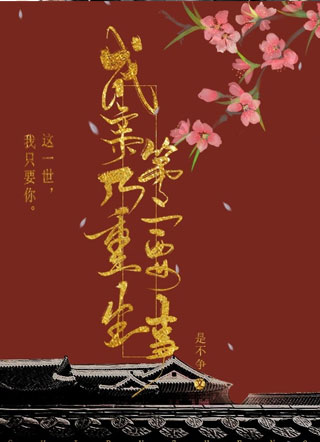 成亲乃重生第一要事小说