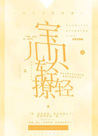 宝贝儿，轻轻撩小说