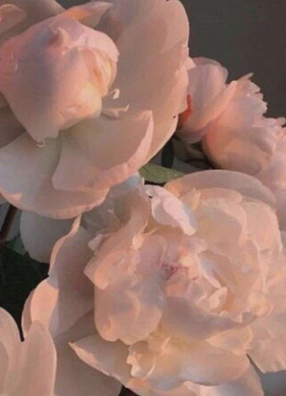 长期演进爱情小说