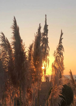 花火灿烂小说