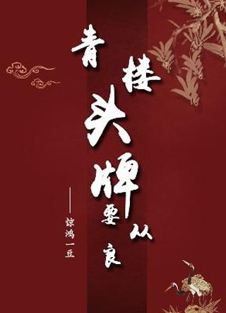 青楼头牌要从良小说