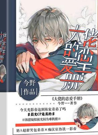 大佬的恋爱手册小说