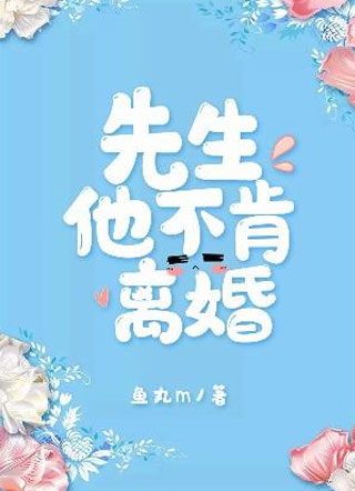 先生他不肯离婚 小说