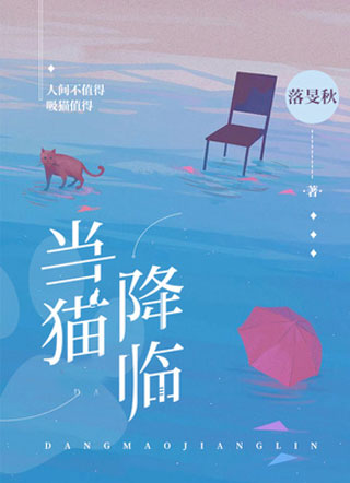 当猫降临小说