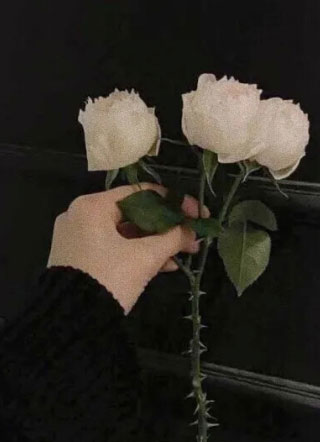 风月小说