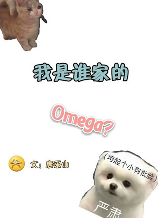 我是谁家的Omega小说