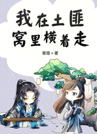 我在土匪窝里横着走小说