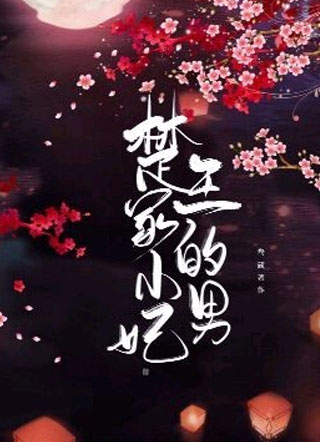 楚王家的小男妃小说